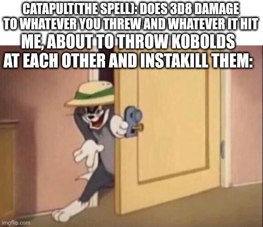so long as they're under 5 pounds | CATAPULT(THE SPELL): DOES 3D8 DAMAGE TO WHATEVER YOU THREW AND WHATEVER IT HIT; ME, ABOUT TO THROW KOBOLDS AT EACH OTHER AND INSTAKILL THEM: | image tagged in tom cat evil | made w/ Imgflip meme maker