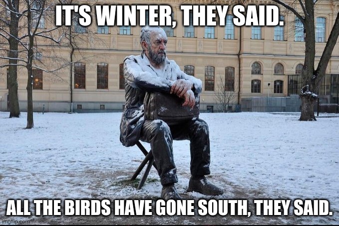 it's winter they said | IT'S WINTER, THEY SAID. ALL THE BIRDS HAVE GONE SOUTH, THEY SAID. | image tagged in angry birds | made w/ Imgflip meme maker