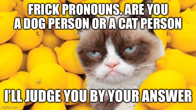I said frick so I dont have to mark it NSFW | FRICK PRONOUNS. ARE YOU A DOG PERSON OR A CAT PERSON; I’LL JUDGE YOU BY YOUR ANSWER | image tagged in grumpy cat lemons | made w/ Imgflip meme maker