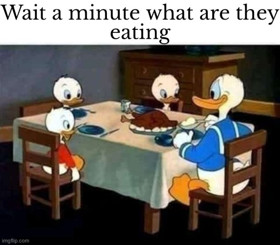 image tagged in what,ducks,hold up,repost,memes,funny | made w/ Imgflip meme maker