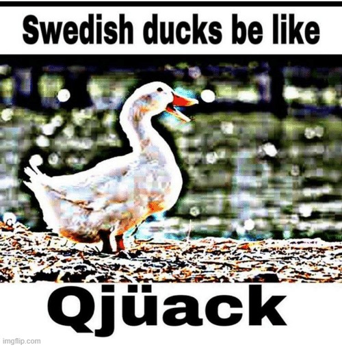 image tagged in sweden,ducks,memes,funny,repost,quack | made w/ Imgflip meme maker