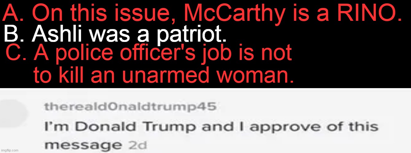 A. On this issue, McCarthy is a RINO. B. Ashli was a patriot. C. A police officer's job is not 
     to kill an unarmed woman. | made w/ Imgflip meme maker