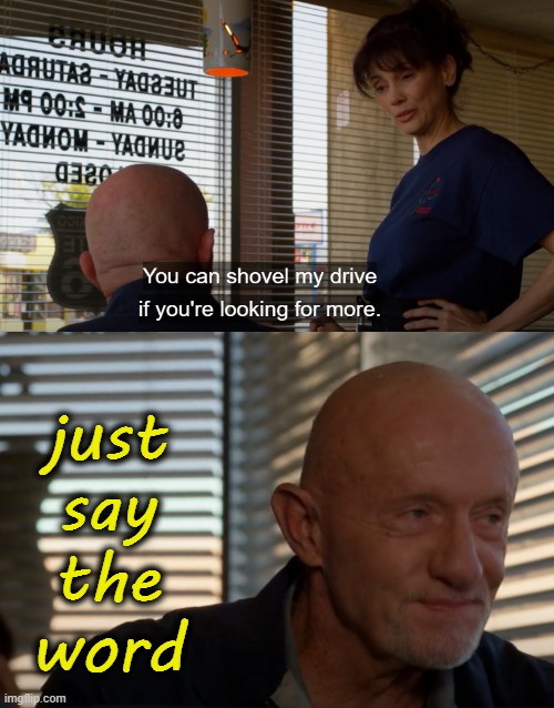 . | just
say
the
word | image tagged in better call saul,kid named finger,mike ehrmantraut,breaking bad | made w/ Imgflip meme maker