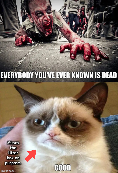 Cat be the pisser. | Misses the litter box on purpose. | image tagged in memes,fark humor | made w/ Imgflip meme maker