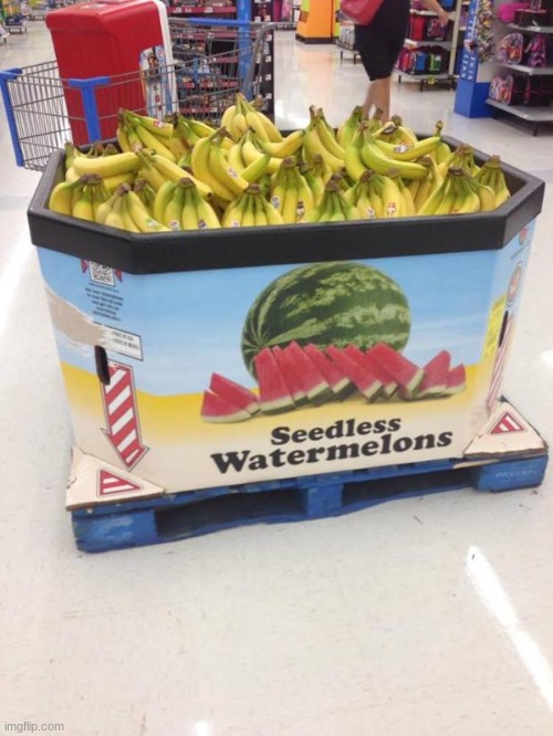 watermelons? | image tagged in you had one job | made w/ Imgflip meme maker