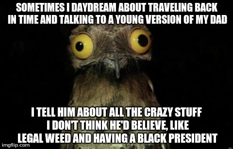 SOMETIMES I DAYDREAM ABOUT TRAVELING BACK IN TIME AND TALKING TO A YOUNG VERSION OF MY DAD I TELL HIM ABOUT ALL THE CRAZY STUFF I DON'T THIN | image tagged in potoo,AdviceAnimals | made w/ Imgflip meme maker