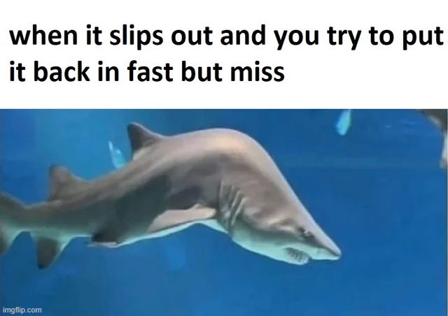 image tagged in sharks,me irl,repost,shark,memes,funny | made w/ Imgflip meme maker