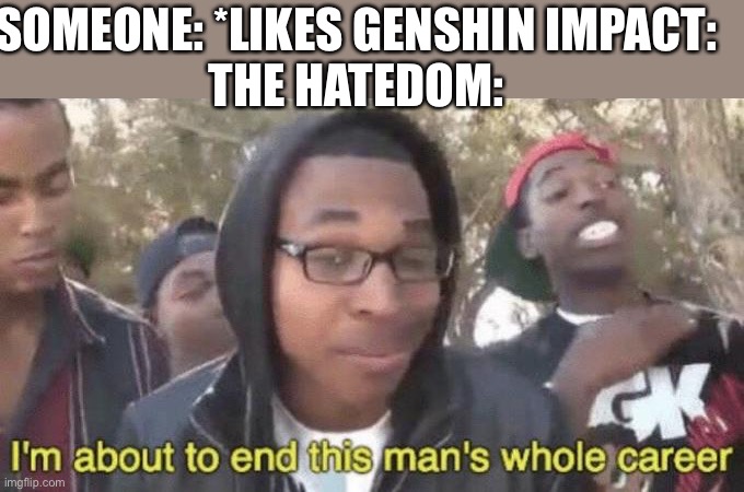 Yes | SOMEONE: *LIKES GENSHIN IMPACT:

THE HATEDOM: | image tagged in i m about to end this man s whole career | made w/ Imgflip meme maker