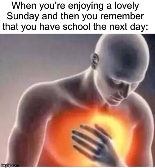 True pain tbh |  When you’re enjoying a lovely Sunday and then you remember that you have school the next day: | image tagged in chest pain,memes,funny,true story,relatable memes,school | made w/ Imgflip meme maker