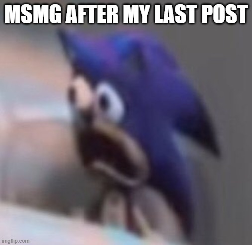 Not sorry LMAO |  MSMG AFTER MY LAST POST | image tagged in traumatised sonic | made w/ Imgflip meme maker