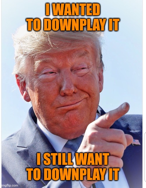 Trump pointing | I WANTED TO DOWNPLAY IT I STILL WANT TO DOWNPLAY IT | image tagged in trump pointing | made w/ Imgflip meme maker