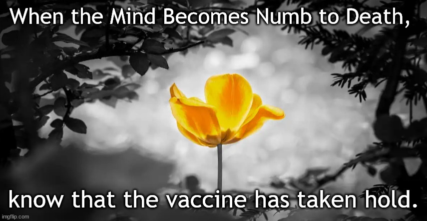 Numb beyond all recognition |  When the Mind Becomes Numb to Death, know that the vaccine has taken hold. | image tagged in memes,vaccine,dark humor | made w/ Imgflip meme maker