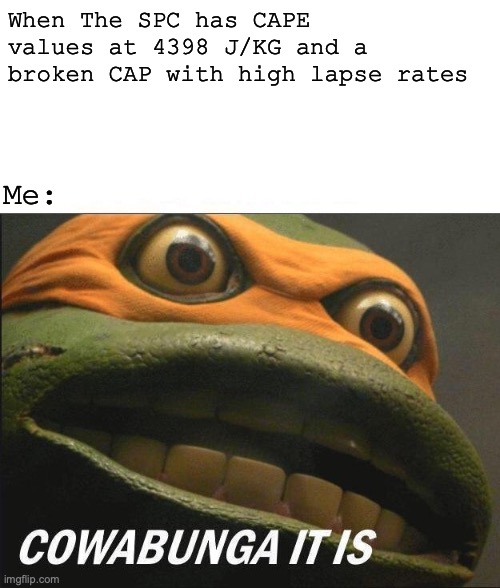 Storm Chasing | When The SPC has CAPE values at 4398 J/KG and a broken CAP with high lapse rates; Me: | image tagged in cowabunga it is blank | made w/ Imgflip meme maker