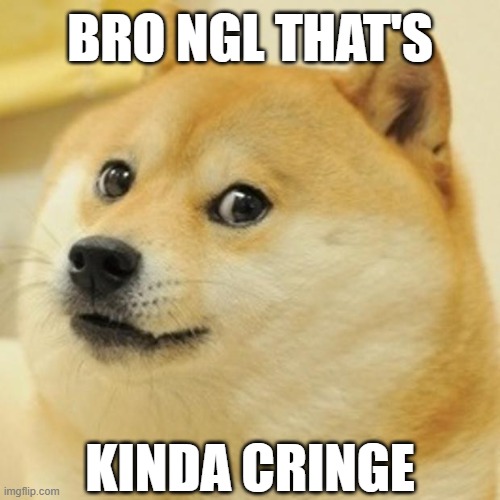 Cringe | BRO NGL THAT'S; KINDA CRINGE | image tagged in memes,doge | made w/ Imgflip meme maker