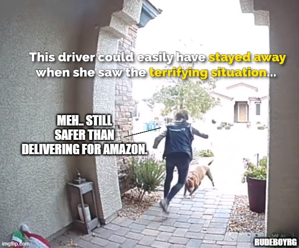 Amazon Driver Attacked By Dog | MEH.. STILL SAFER THAN DELIVERING FOR AMAZON. RUDEBOYRG | image tagged in amazon driver,amazon,delivery,dog,dog attack | made w/ Imgflip meme maker