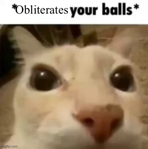 X your balls | Obliterates | image tagged in x your balls | made w/ Imgflip meme maker