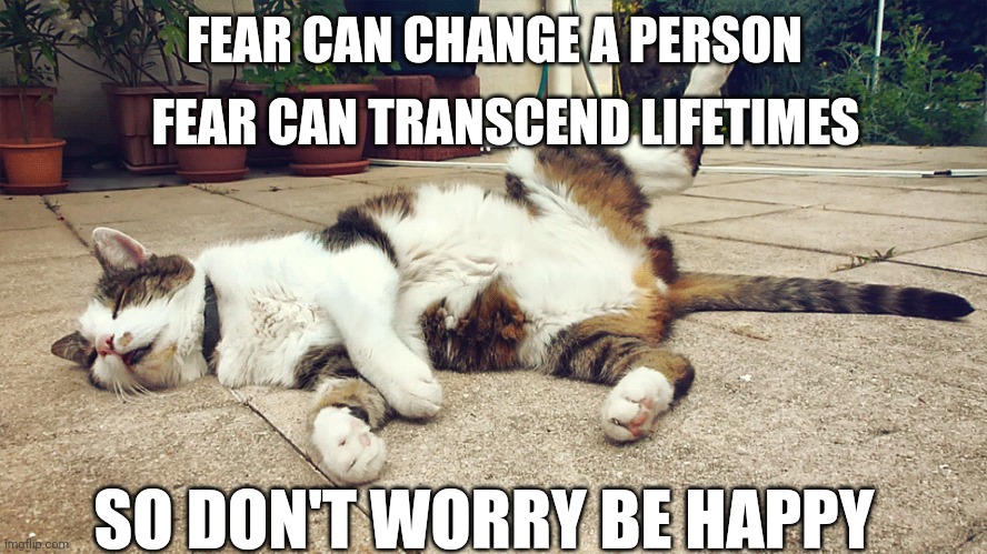 Don't worry | FEAR CAN CHANGE A PERSON; FEAR CAN TRANSCEND LIFETIMES; SO DON'T WORRY BE HAPPY | image tagged in the scroll of truth | made w/ Imgflip meme maker