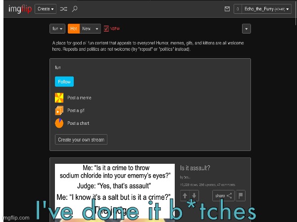 I unfollowed the fun stream | I've done it b*tches | image tagged in fun,funny,meme | made w/ Imgflip meme maker