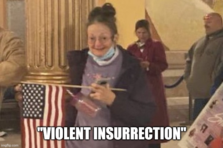 "VIOLENT INSURRECTION" | made w/ Imgflip meme maker