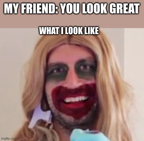 why do I feel like nobody will like this | MY FRIEND: YOU LOOK GREAT; WHAT I LOOK LIKE | image tagged in fun | made w/ Imgflip meme maker