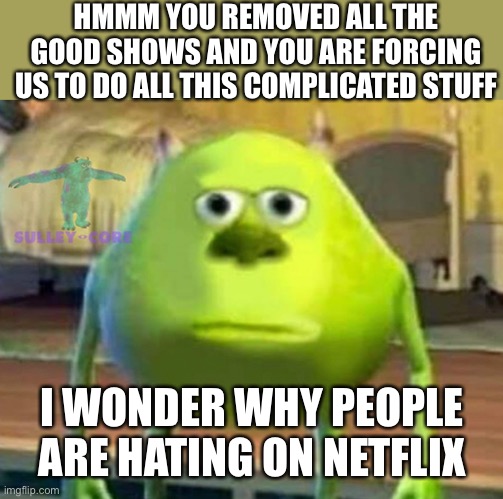 Monsters Inc | HMMM YOU REMOVED ALL THE GOOD SHOWS AND YOU ARE FORCING US TO DO ALL THIS COMPLICATED STUFF I WONDER WHY PEOPLE ARE HATING ON NETFLIX | image tagged in monsters inc | made w/ Imgflip meme maker