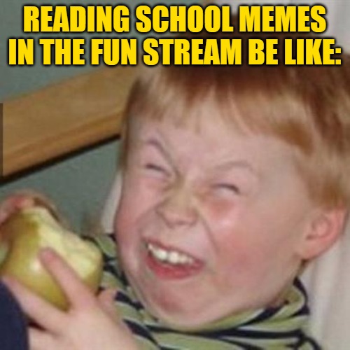 laughing kid | READING SCHOOL MEMES IN THE FUN STREAM BE LIKE: | image tagged in laughing kid | made w/ Imgflip meme maker