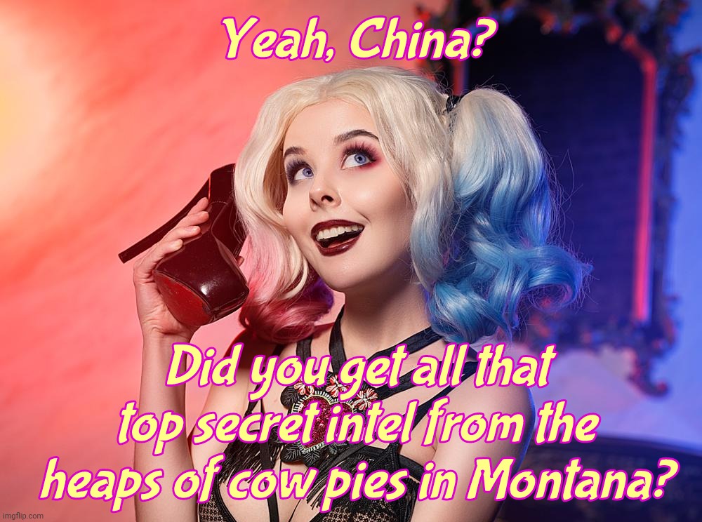 Helly Von | Yeah, China? Did you get all that
top secret intel from the heaps of cow pies in Montana? | image tagged in helly von | made w/ Imgflip meme maker
