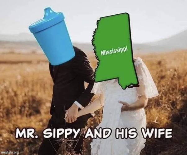 Mr Sippy & His Wife | image tagged in mississippi,memes,funny,repost,dad jokes,dad joke | made w/ Imgflip meme maker