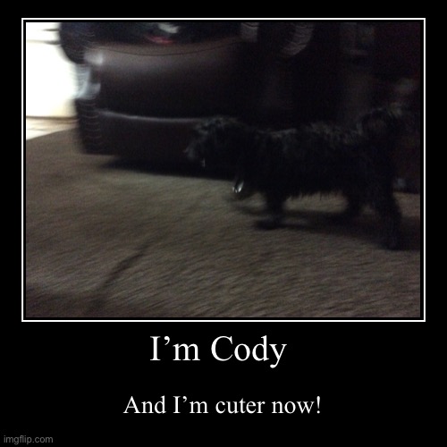 I’m Cody | And I’m cuter now! | image tagged in funny,cute dog,cody | made w/ Imgflip demotivational maker