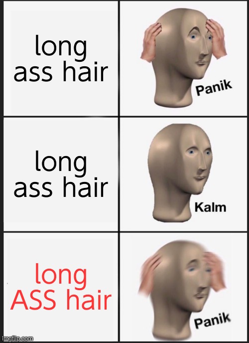 Panik Kalm Panik Meme | long ass hair; long ass hair; long ASS hair | image tagged in memes,panik kalm panik | made w/ Imgflip meme maker