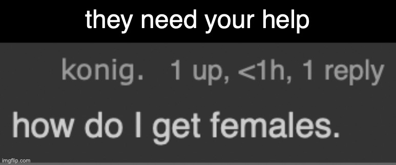 can someone tell them | they need your help | made w/ Imgflip meme maker