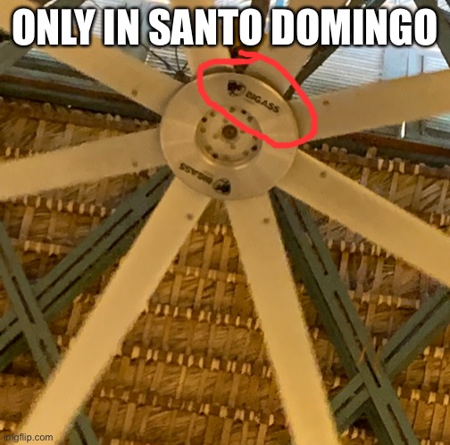 I saw this on my vacation yesterday | ONLY IN SANTO DOMINGO | image tagged in vacation | made w/ Imgflip meme maker