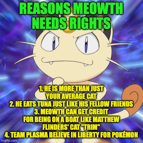 Meowth Rights are still important, if Meowth gets rights, so can other users (foreshadowing in our next bill in senate) | REASONS MEOWTH NEEDS RIGHTS 1. HE IS MORE THAN JUST YOUR AVERAGE CAT
2. HE EATS TUNA JUST LIKE HIS FELLOW FRIENDS
3. MEOWTH CAN GET CREDIT F | image tagged in meowth kitties,meowth,rights,meowth rights,meowth is,a libertarian | made w/ Imgflip meme maker