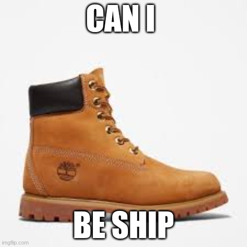 can i | CAN I; BE SHIP | image tagged in tim | made w/ Imgflip meme maker