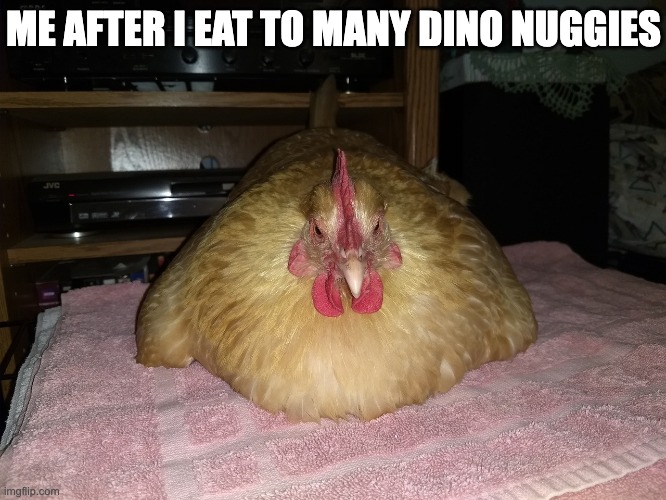 lol | ME AFTER I EAT TO MANY DINO NUGGIES | image tagged in chicken blob | made w/ Imgflip meme maker