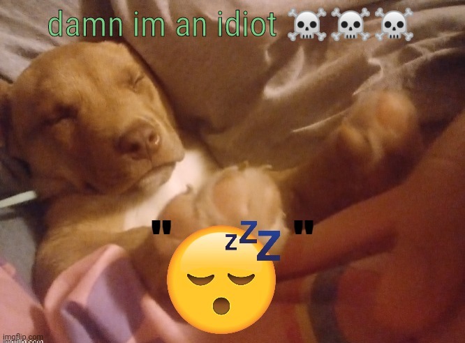 quandale | damn im an idiot ☠️☠️☠️ | image tagged in quandale | made w/ Imgflip meme maker