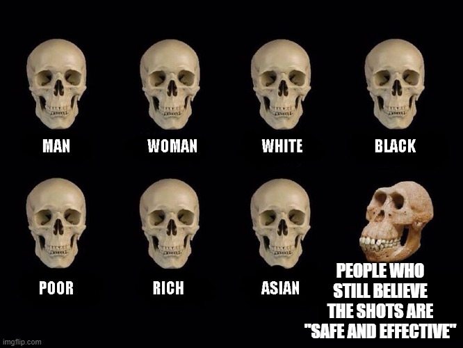 People Who Think Safe & Effective | PEOPLE WHO STILL BELIEVE THE SHOTS ARE "SAFE AND EFFECTIVE" | image tagged in empty skulls of truth | made w/ Imgflip meme maker