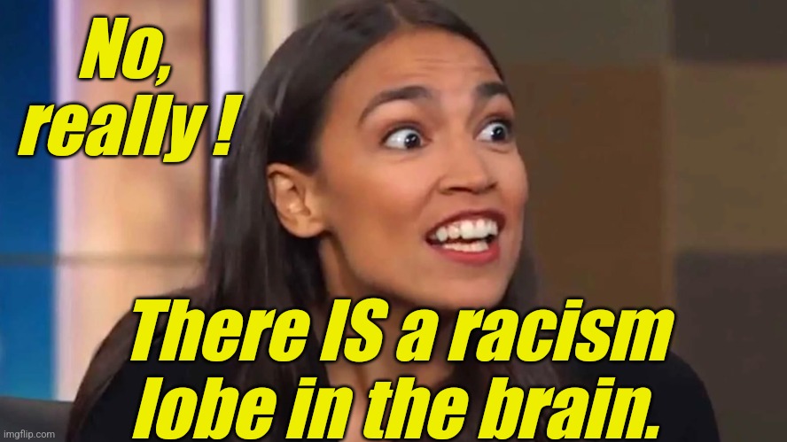 aoc Can you believe it ? | No, really ! There IS a racism lobe in the brain. | image tagged in aoc can you believe it | made w/ Imgflip meme maker