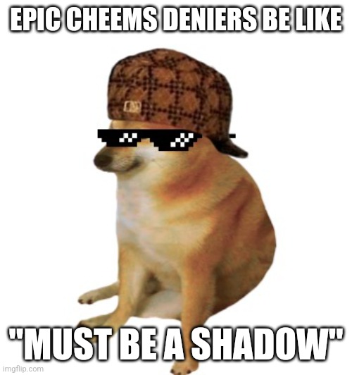 Epic cheems. | EPIC CHEEMS DENIERS BE LIKE; "MUST BE A SHADOW" | image tagged in epic cheems | made w/ Imgflip meme maker