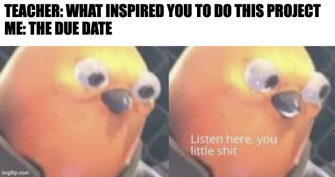 due date | TEACHER: WHAT INSPIRED YOU TO DO THIS PROJECT
ME: THE DUE DATE | image tagged in listen here you little shit bird | made w/ Imgflip meme maker