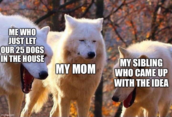 If only | ME WHO JUST LET OUR 25 DOGS IN THE HOUSE; MY SIBLING WHO CAME UP WITH THE IDEA; MY MOM | image tagged in laughing wolf | made w/ Imgflip meme maker