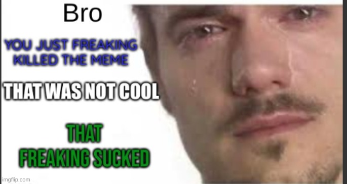 Bro you just freaking killed the meme | image tagged in bro you just freaking killed the meme | made w/ Imgflip meme maker