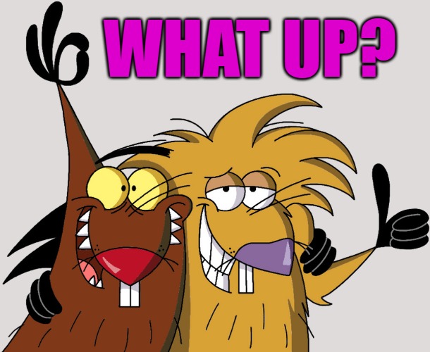 Beavers | WHAT UP? | image tagged in beavers | made w/ Imgflip meme maker