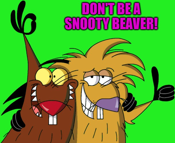 Beavers | DON'T BE A SNOOTY BEAVER! | image tagged in beavers | made w/ Imgflip meme maker