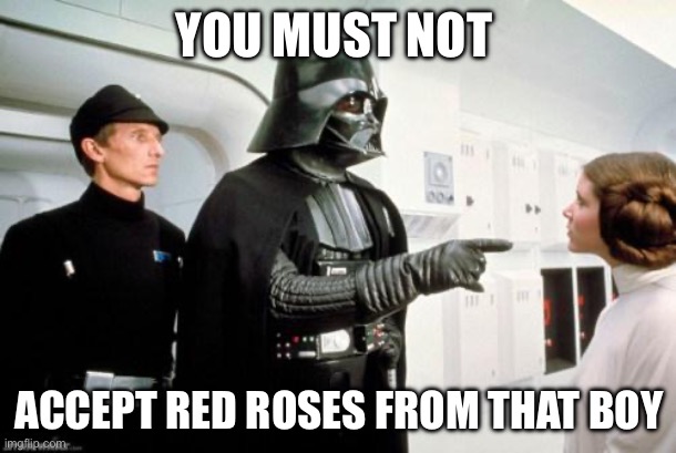 Valentine Vader | YOU MUST NOT ACCEPT RED ROSES FROM THAT BOY | image tagged in darth vader leia,roses,valentine's day,darth vader | made w/ Imgflip meme maker