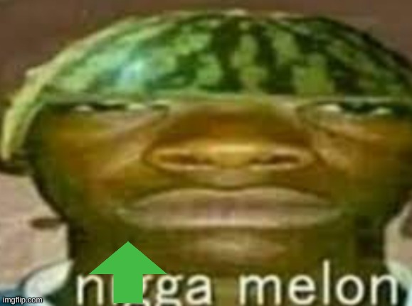 nigga melon | image tagged in nigga melon | made w/ Imgflip meme maker