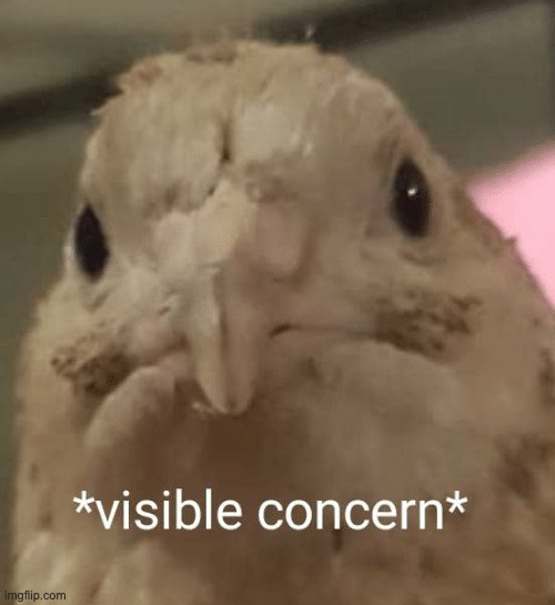 visible concern bird | image tagged in visible concern bird | made w/ Imgflip meme maker