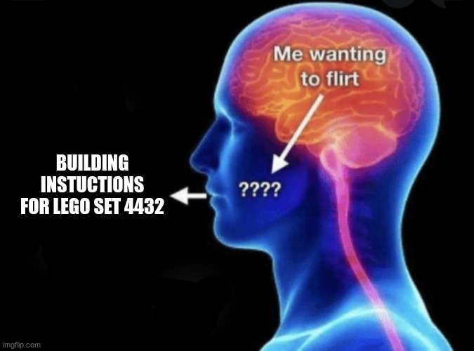 Me wanting to flirt | BUILDING INSTUCTIONS FOR LEGO SET 4432 | image tagged in me wanting to flirt | made w/ Imgflip meme maker