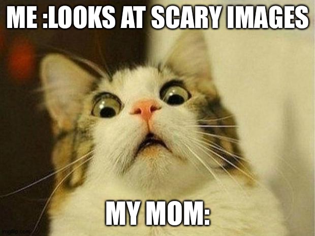 Scared Cat Meme | ME :LOOKS AT SCARY IMAGES; MY MOM: | image tagged in memes,scared cat | made w/ Imgflip meme maker