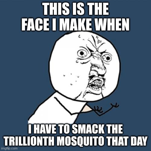 My face when I smack the trillionth mosquito | THIS IS THE FACE I MAKE WHEN; I HAVE TO SMACK THE TRILLIONTH MOSQUITO THAT DAY | image tagged in memes,y u no | made w/ Imgflip meme maker